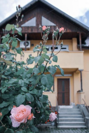 Best vila Calimanesti